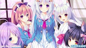 【汉化】猫咪相随★恋樱纷飞