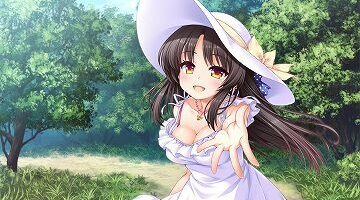 【汉化/硬盘】私奔（カケオチ）