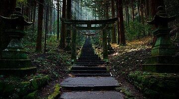 gal手机模拟器+解压软件