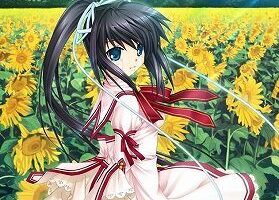 【PC/汉化】Rewrite＋（puls）