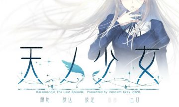 【汉化硬盘】天之少女