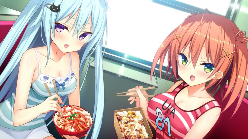 【PC/汉化】如胶似漆双胞胎2！~夏日炎炎~双子姐妹的欧派对决！