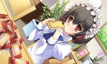 【PC+ONS/汉化】少女爱上姐姐1+2