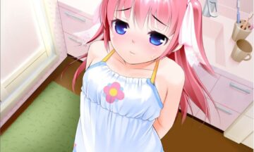 【PC+KR/汉化】变身妄想