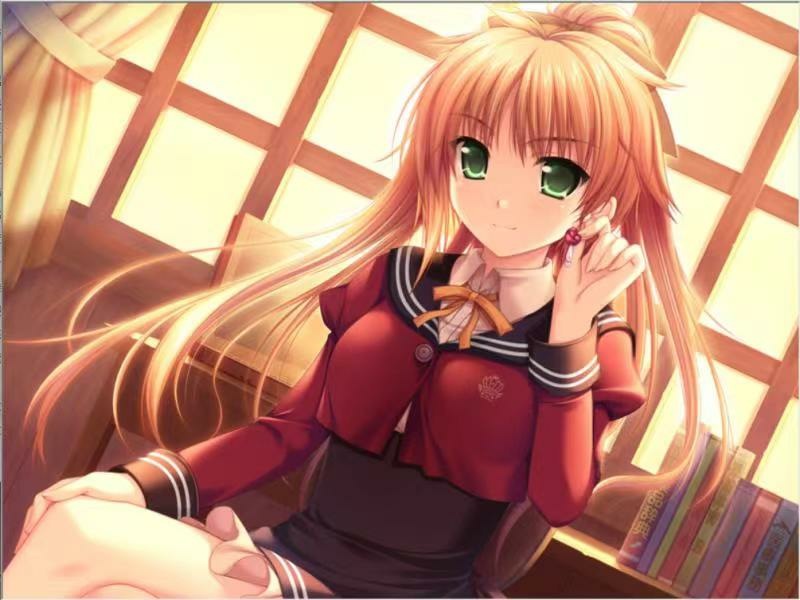 【PC+KR/汉化】WLO世界恋爱机构