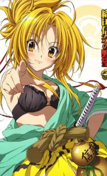 【轻小说/完结】织田信奈的野望