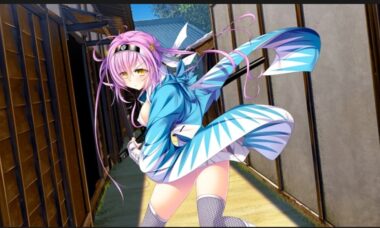 【PC+KR/云翻】幕末 尽忠報国烈士伝 MIBURO