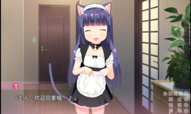【KR/汉化】与小奶猫创造家族