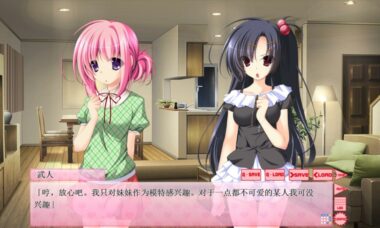 【pc+kr】妹妹观察中！