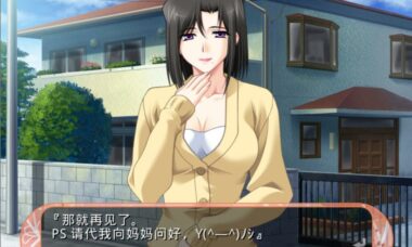 【双端/机翻】妻子私奔x顶替