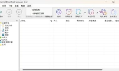 【PC下载器】IDM多线程下载工具
