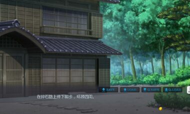 【PC+Ty安卓】夜袭七人2 云翻