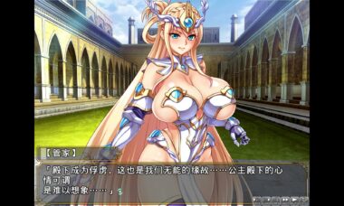【PC/云翻】公主骑士下流败北人生~