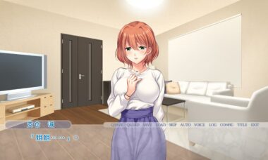 【双端/机翻】堕落的义姐