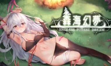 【PC/官中】森海幻梦