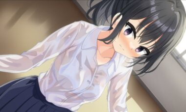 【PC/云翻】劳伦行 ~新教员劳务伦理行动综合审查～