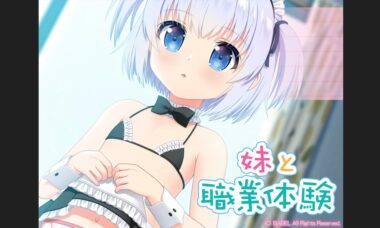 【双端/云翻】妹妹和职业体验