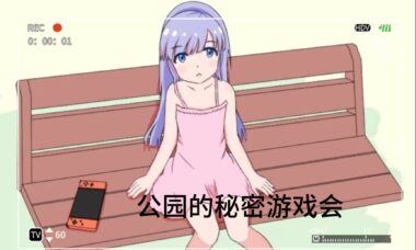 【PC/官中】公园的秘密游戏会