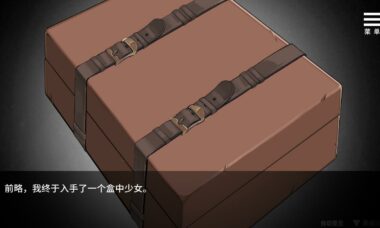 【PC/官中】前略，我终于入手了一个盒中少女
