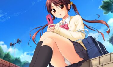 【PC/机翻】少交女 HD