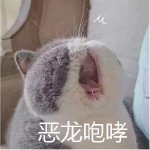 saltkun